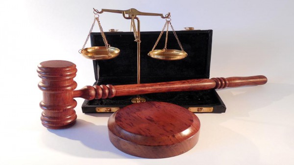 Cassazione: procedimenti disciplinari relativi agli avvocati - art. 213 cpc., applicabilit, sussistenza, fondamento