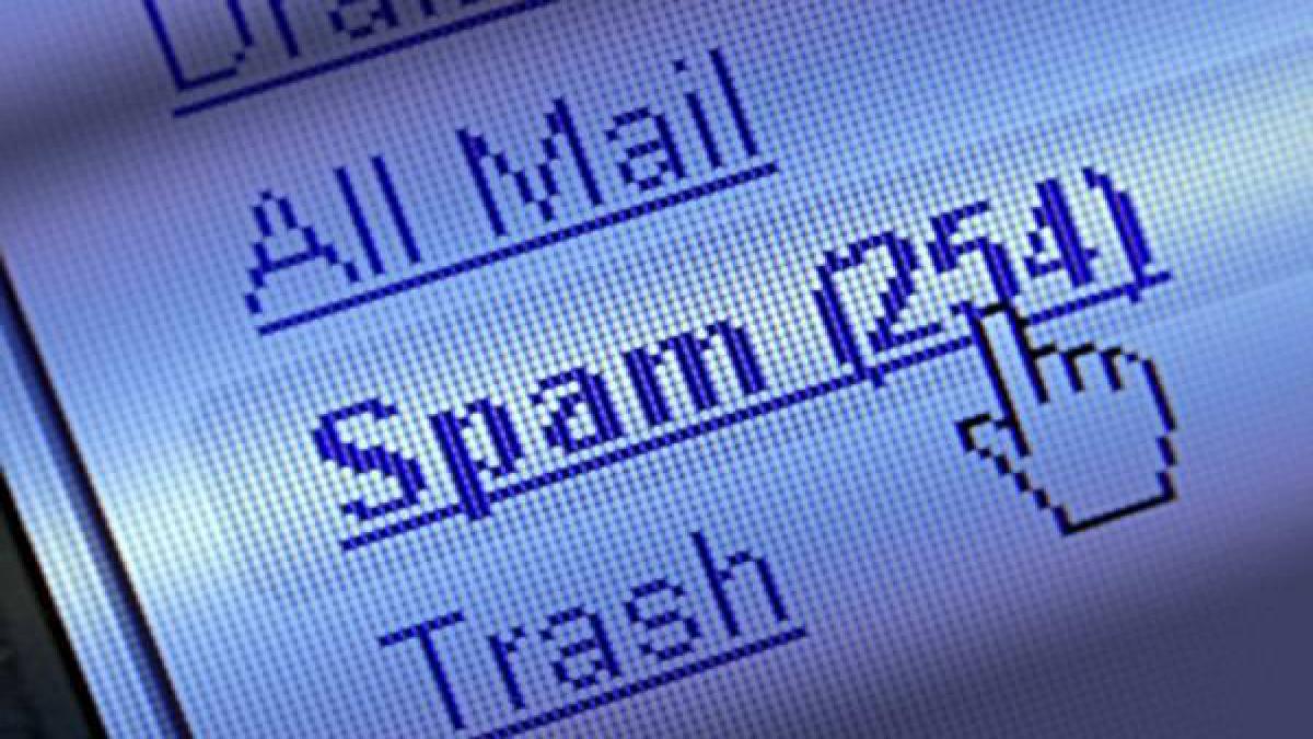 Il titolare della PEC deve controllare tutta la posta, anche quella indesiderata e/o spam