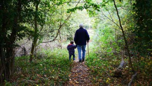 Sì al risarcimento del danno parentale per i nipoti non conviventi col nonno