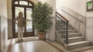 Piante in vaso nell'androne condominiale: annullata la delibera se si riduce lo spazio di &hellip;
